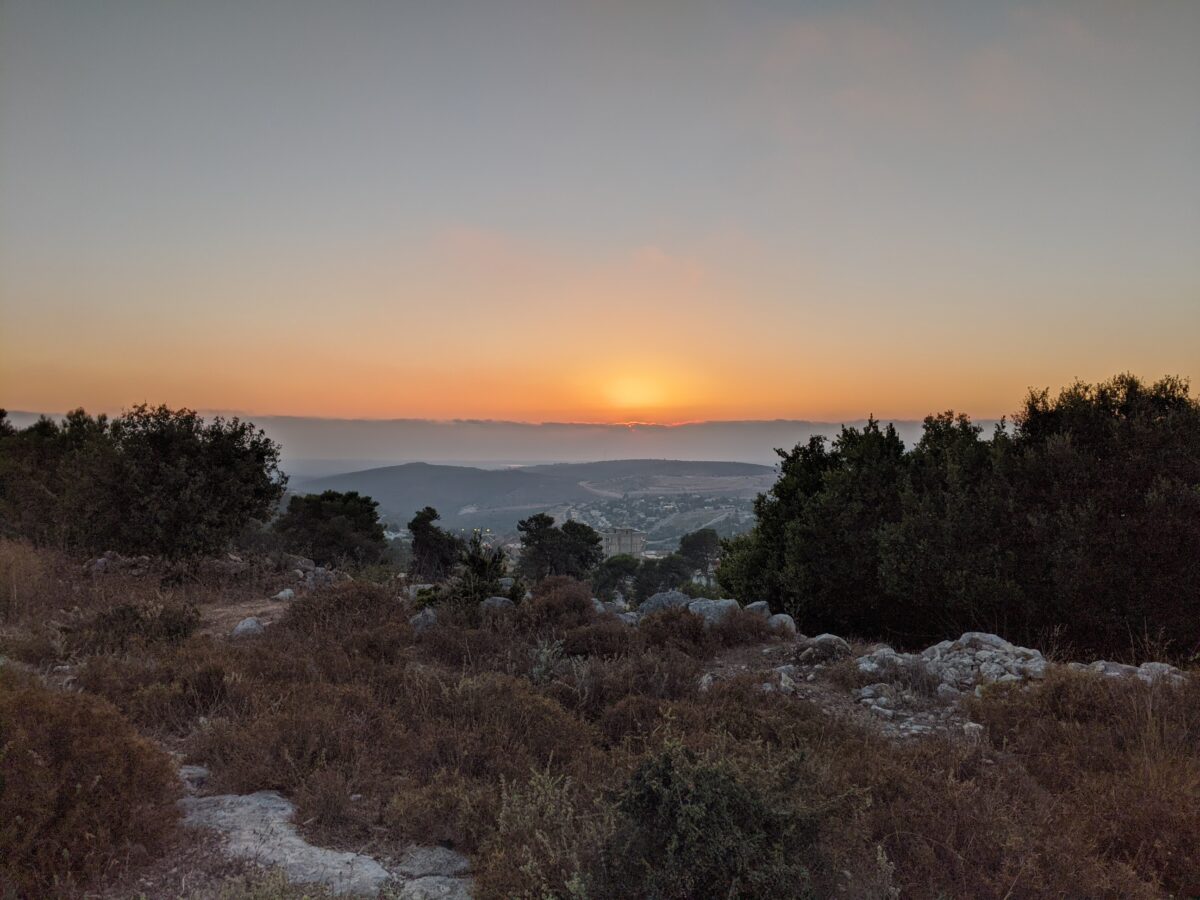 מתחדשים