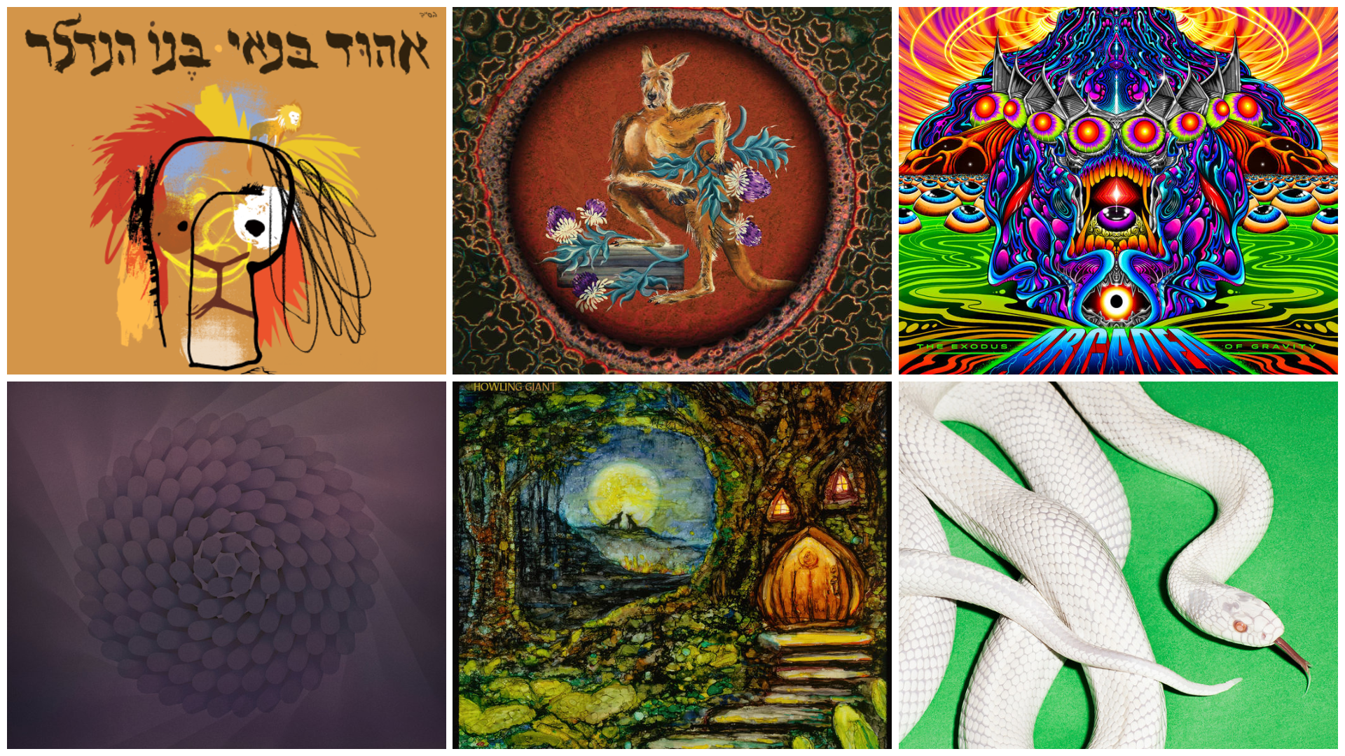 הבציר השבועי – 6.2.26 – בעקבות בקשת הקורא יאיר